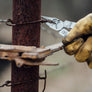 REBAR (35TH ANNIVERSARY LIMITED EDITION)
