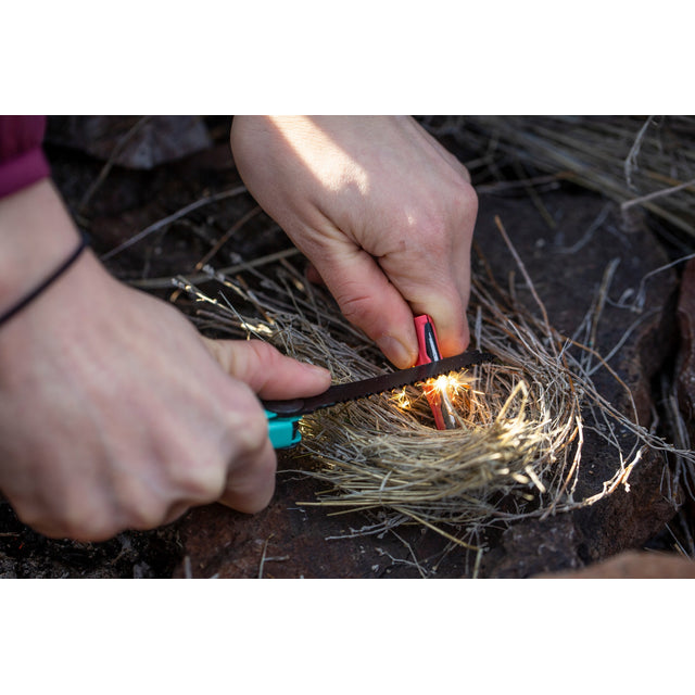 SIGNAL - AQUA (SPECIAL EDITION)